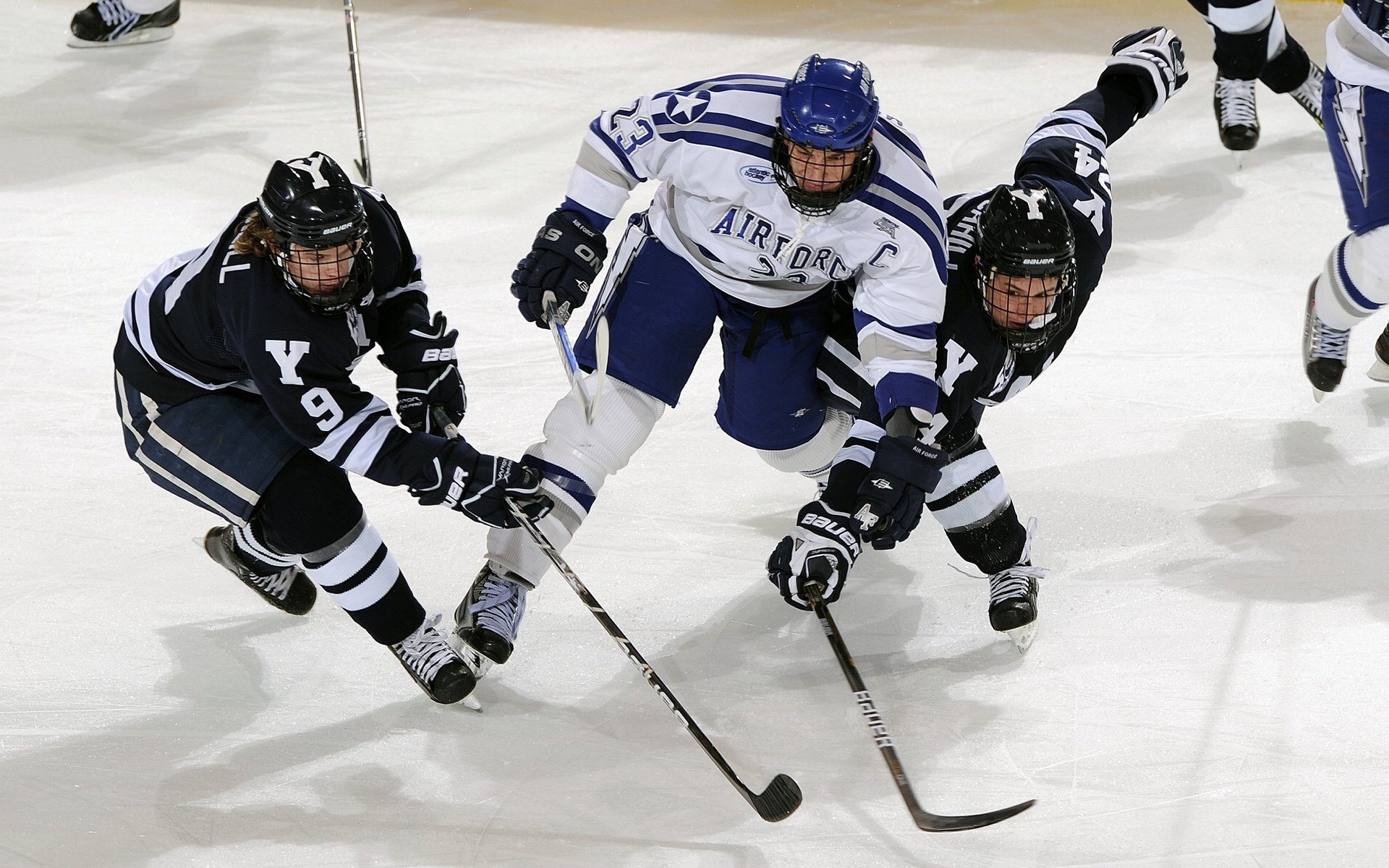 最新排名公布,谁能逆袭成功?,最成功的逆袭